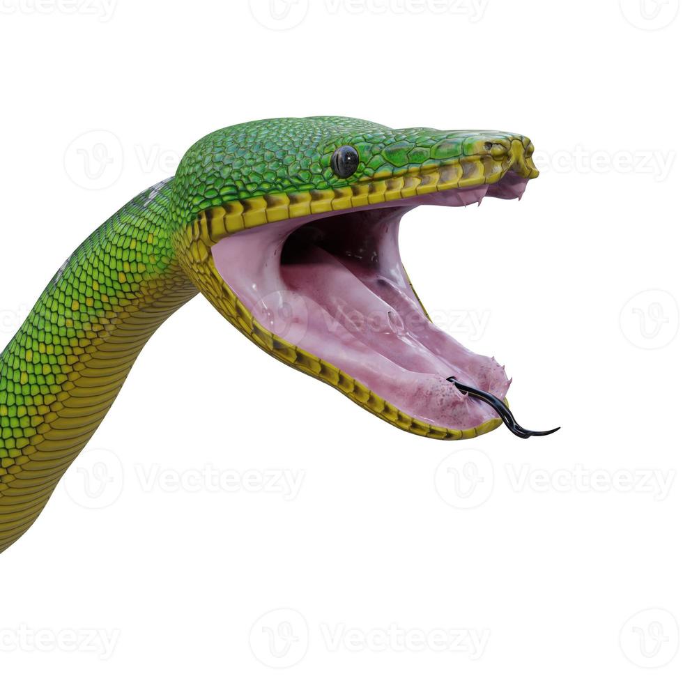 Emerald tree boa 3D illustration photo