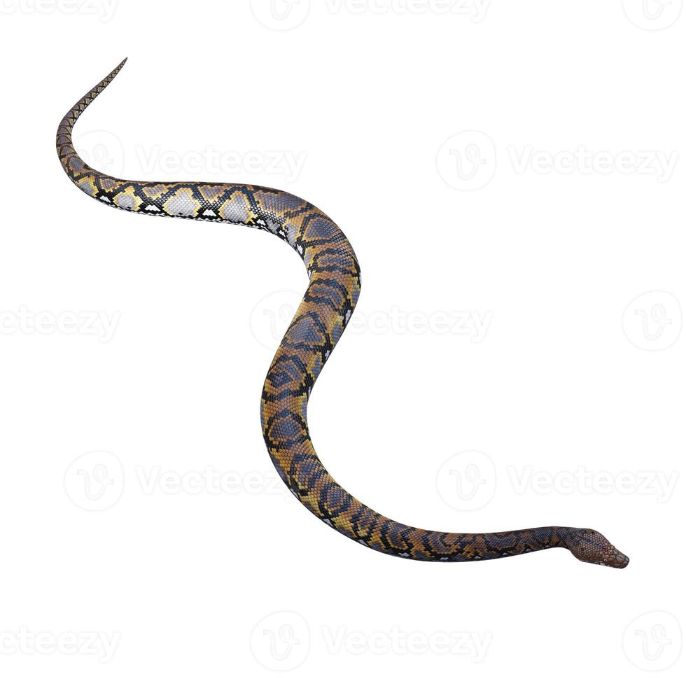 Reticulated python 3D illustration photo
