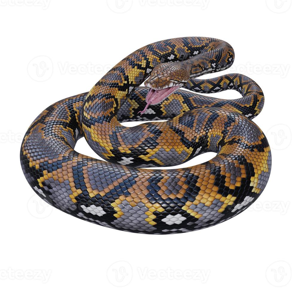 Reticulated python 3D illustration 11890343 Stock Photo at Vecteezy