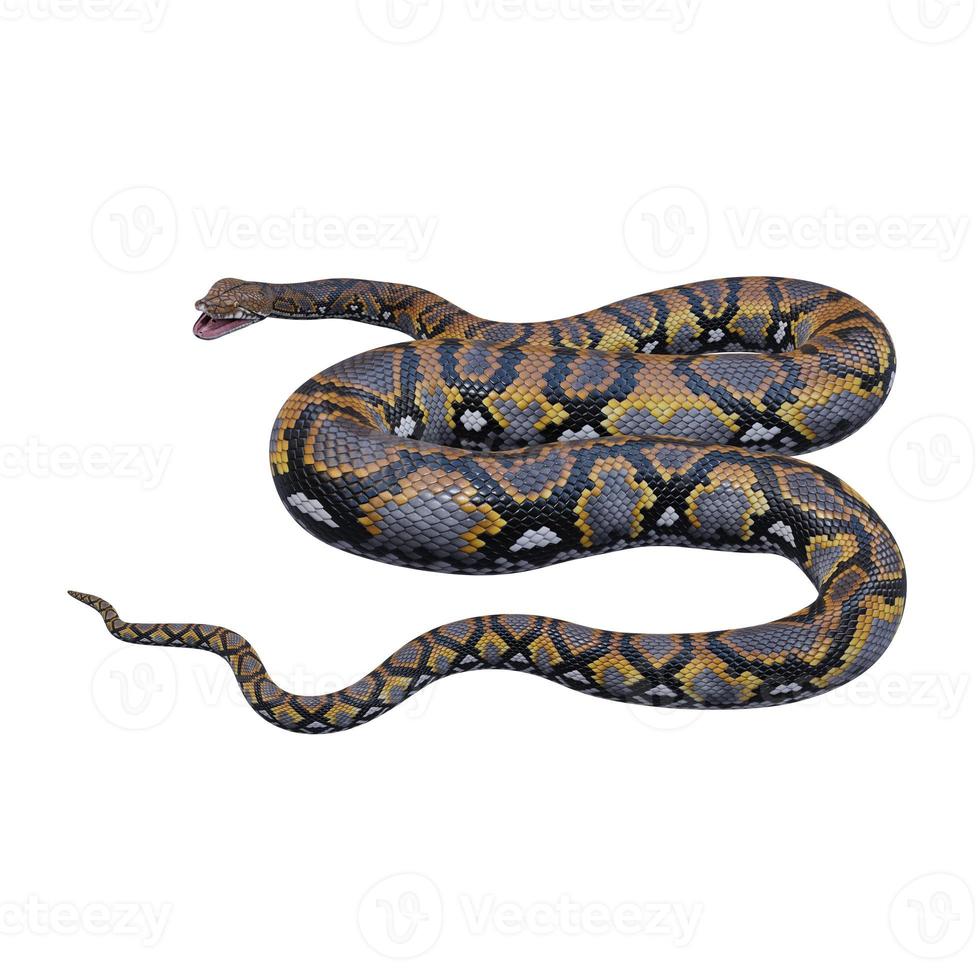 Reticulated python 3D illustration photo