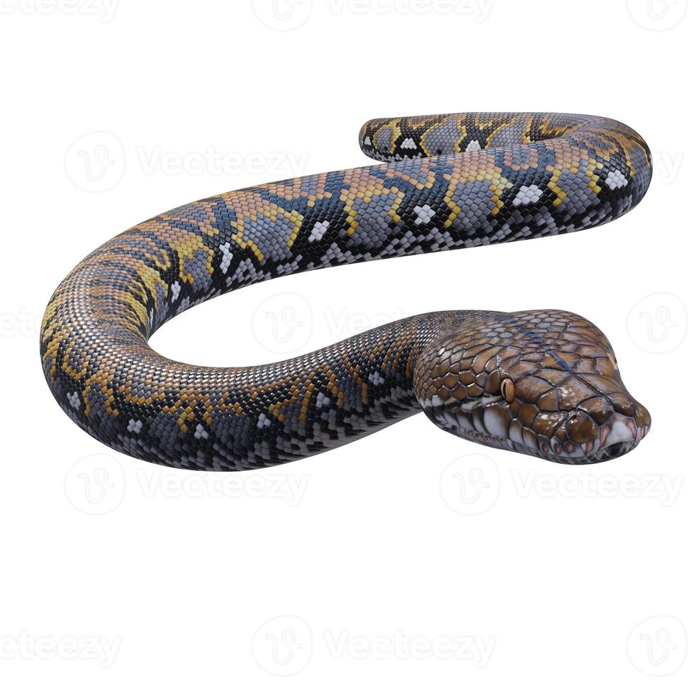 Reticulated python 3D illustration photo