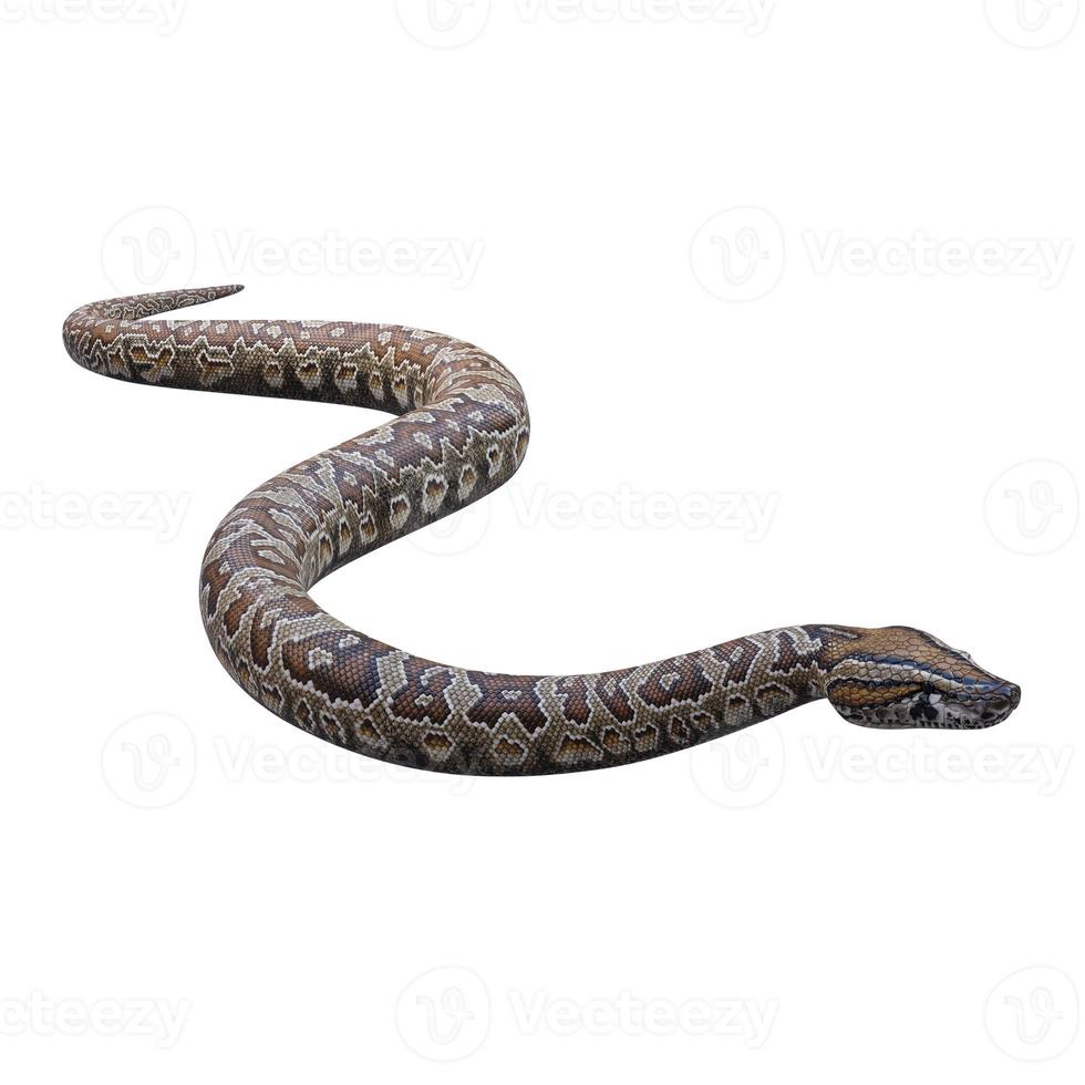 Southern African rock python 3D illustration 11890356 Stock Photo at ...