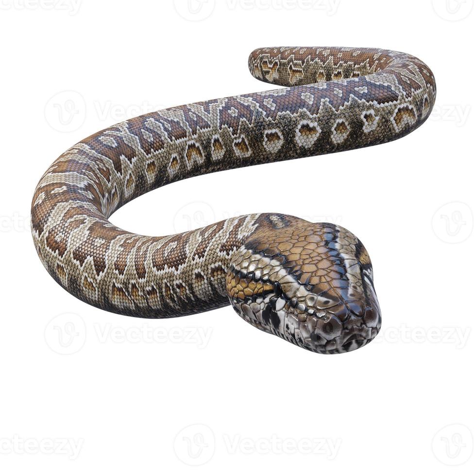Southern African rock python 3D illustration 11890365 Stock Photo at ...