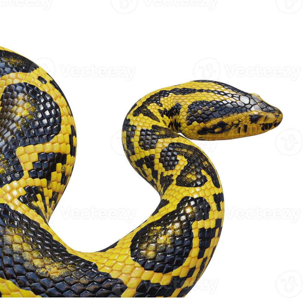 Yellow anaconda 3D illustration photo