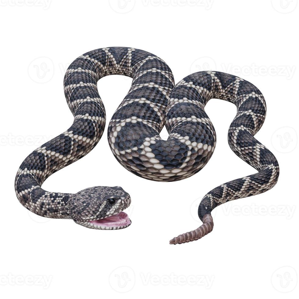 Eastern diamondback rattlesnake 3D illustration photo