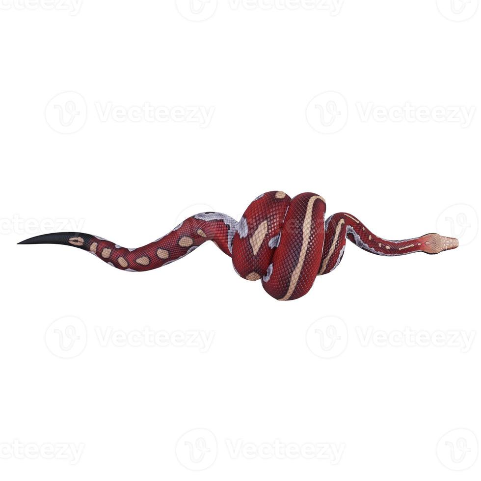 Blood python 3D illustration photo