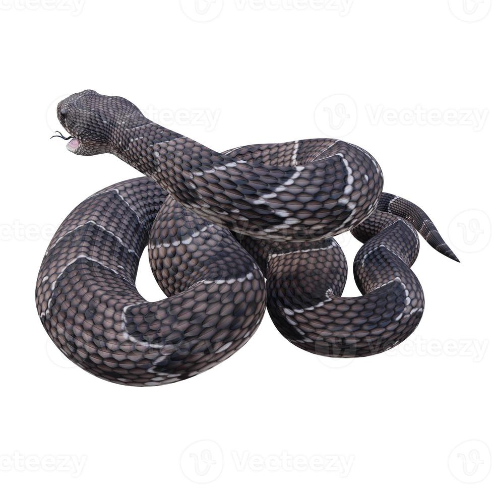 Puff Adder 3D illustration photo