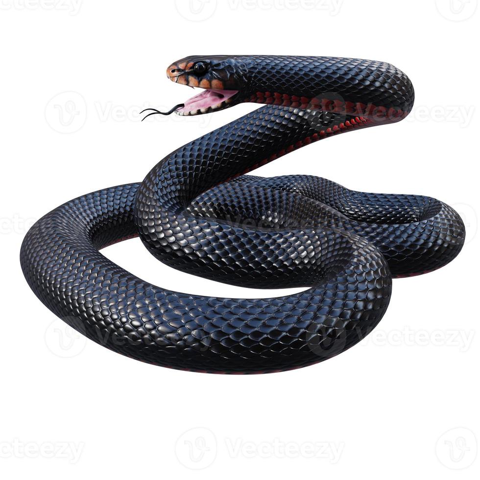 ilustración 3d de serpiente negra de vientre rojo foto