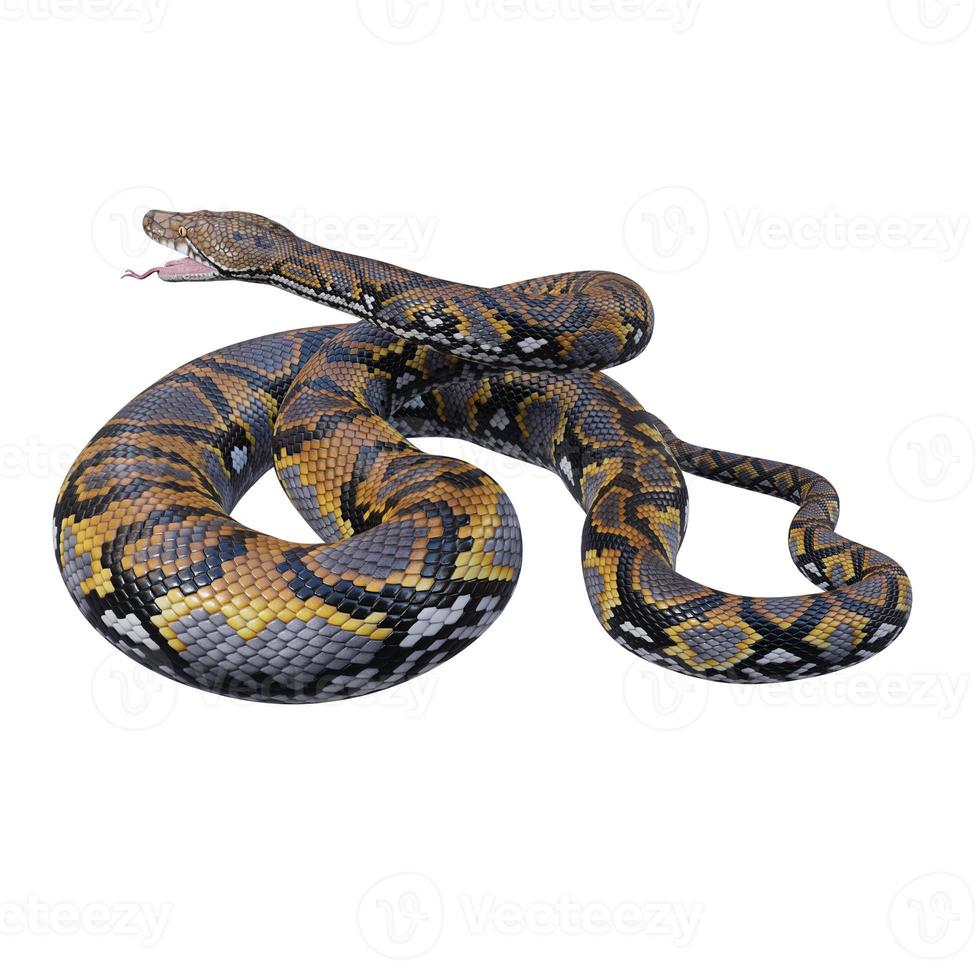 Reticulated python 3D illustration photo