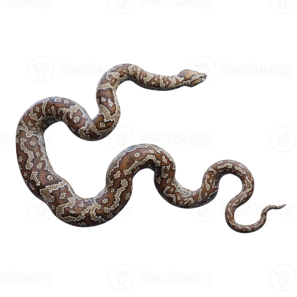 Southern African rock python 3D illustration 11890438 Stock Photo at ...