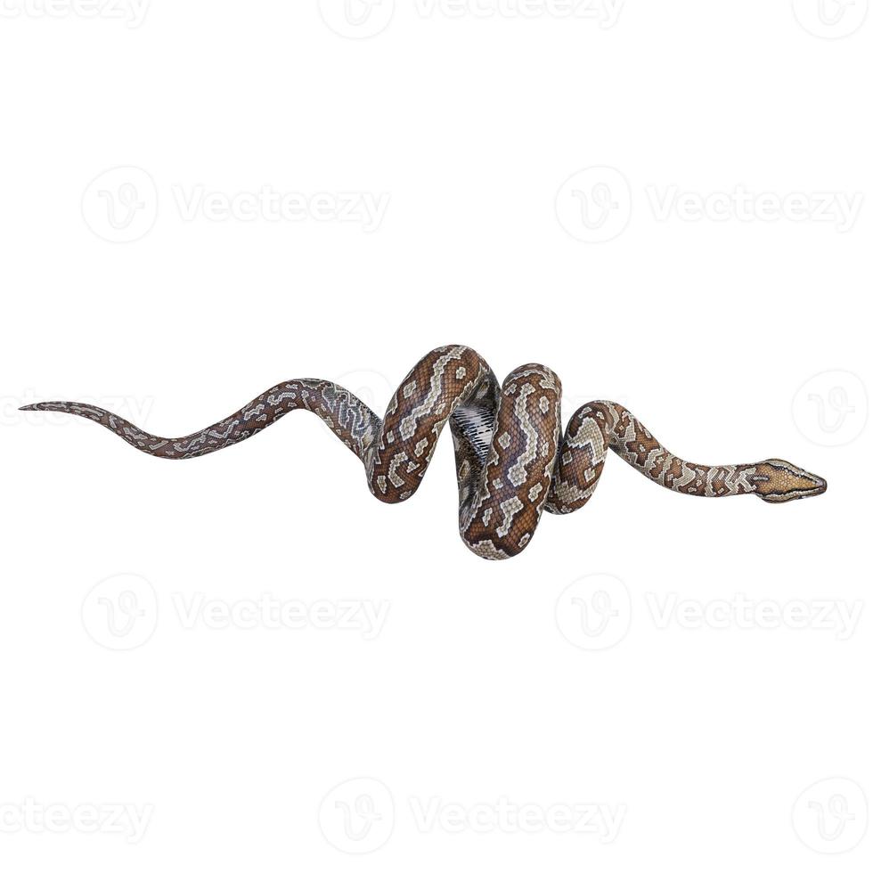 Southern African rock python 3D illustration 11890440 Stock Photo at ...
