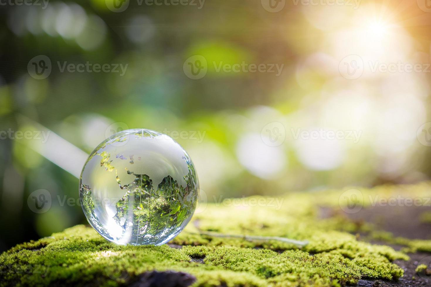 Globe planet glass In green forest with bokeh nature lights. world environment day. concept for environment conservation, protect ecology earth and environmental eco-friendly life with copy space photo