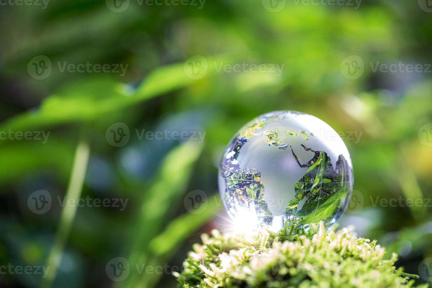 Globe planet glass In green forest with bokeh nature lights. world environment day. concept for environment conservation, protect ecology earth and environmental eco-friendly life with copy space photo