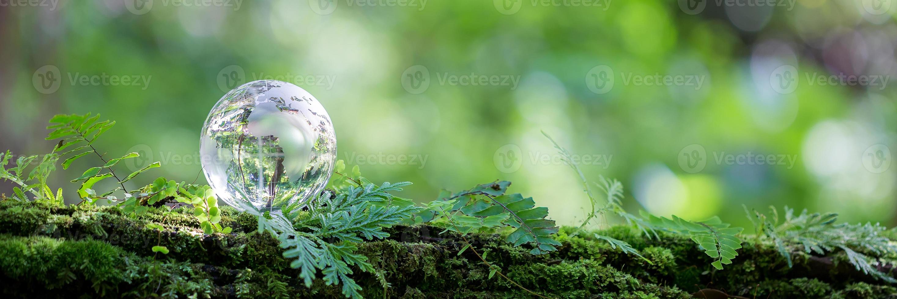 Globe planet glass in green forest with bokeh nature lights. world environment day. concept of environment conservation, protect ecology earth and environmental eco-friendly life banner and copy space photo