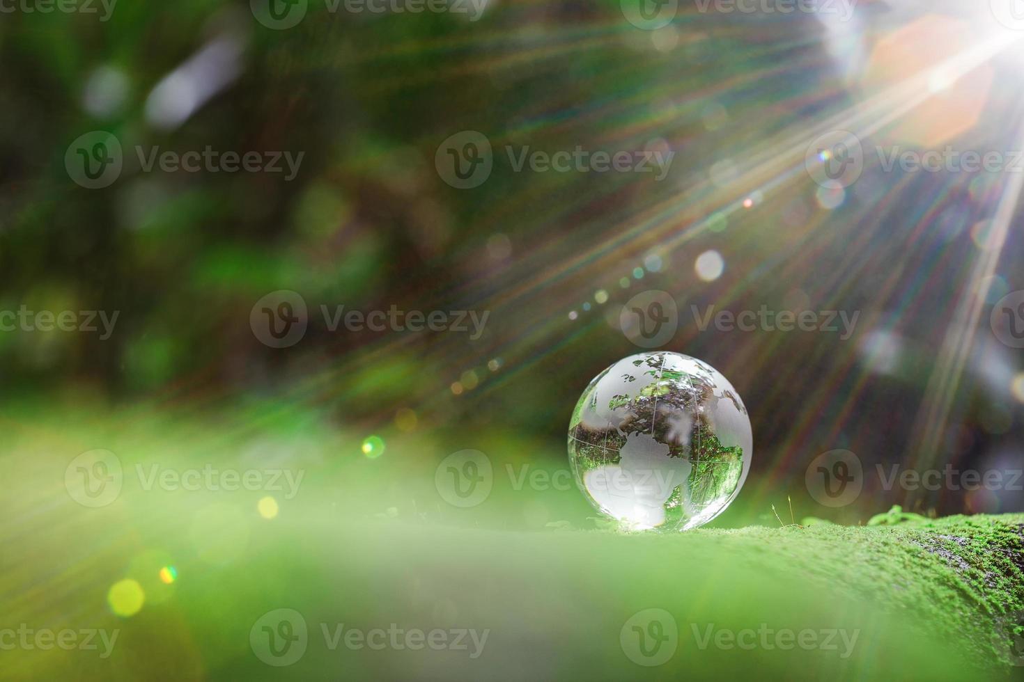 Globe planet glass In green forest with bokeh nature lights. world environment day. concept for environment conservation, protect ecology earth and environmental eco-friendly life with copy space photo