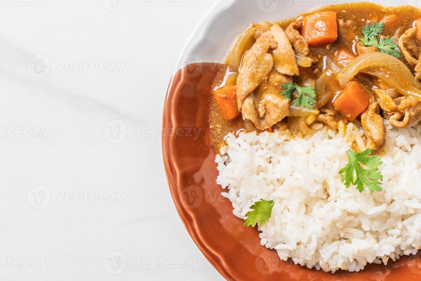 Japanese curry rice with sliced pork, carrot and onions photo