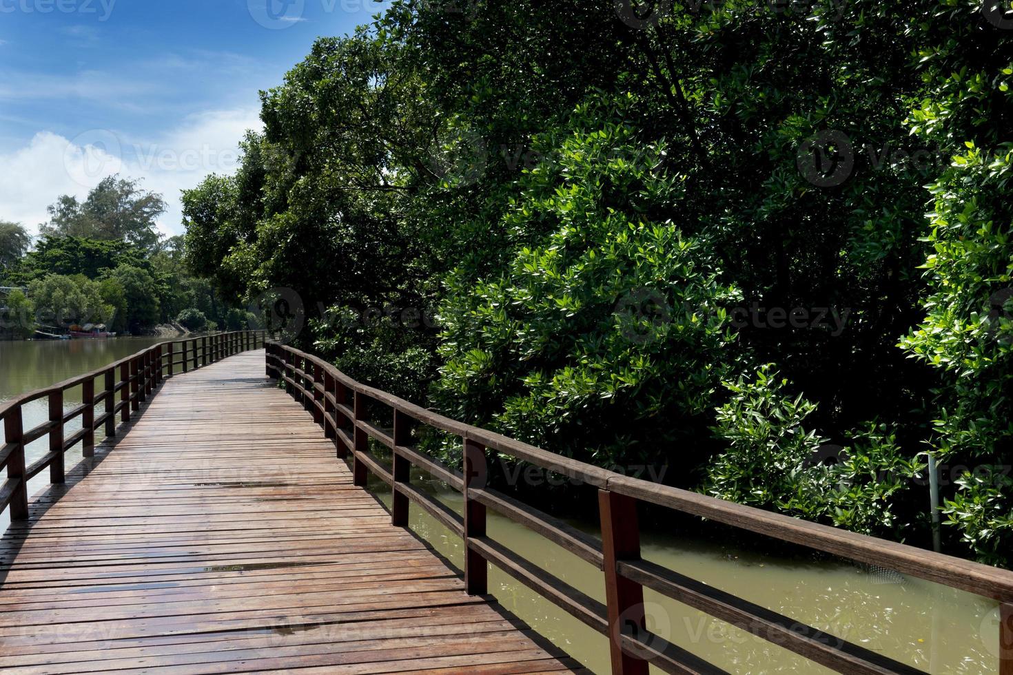 Pasarela de puente de madera roja que sale directamente del bosque de manglares. bajo el cielo azul y las nubes blancas. y hay un río al lado. en phra chedi klang nam, pak nam, rayong, tailandia. foto
