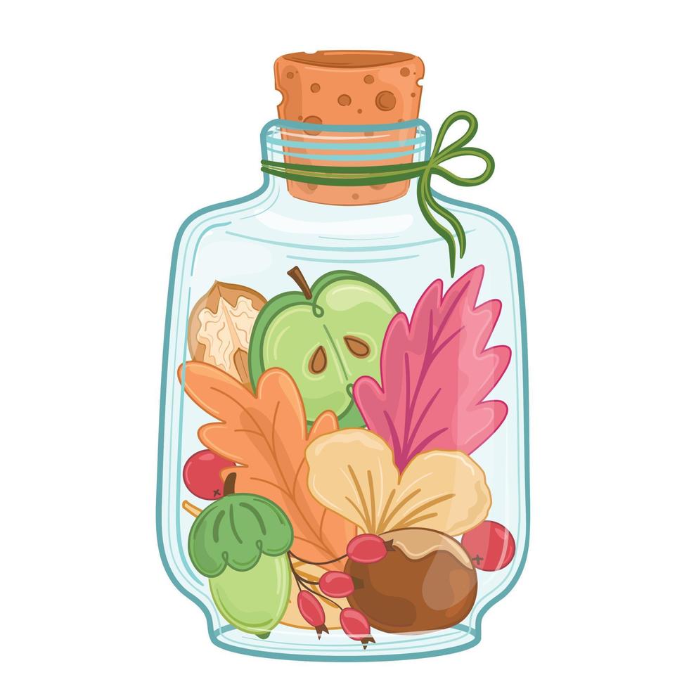 autumn memories with leaves, apple, acorn, walnut nut, viburnum, chestnut, ginkgo, rose hip, glass jar with craft cork vector