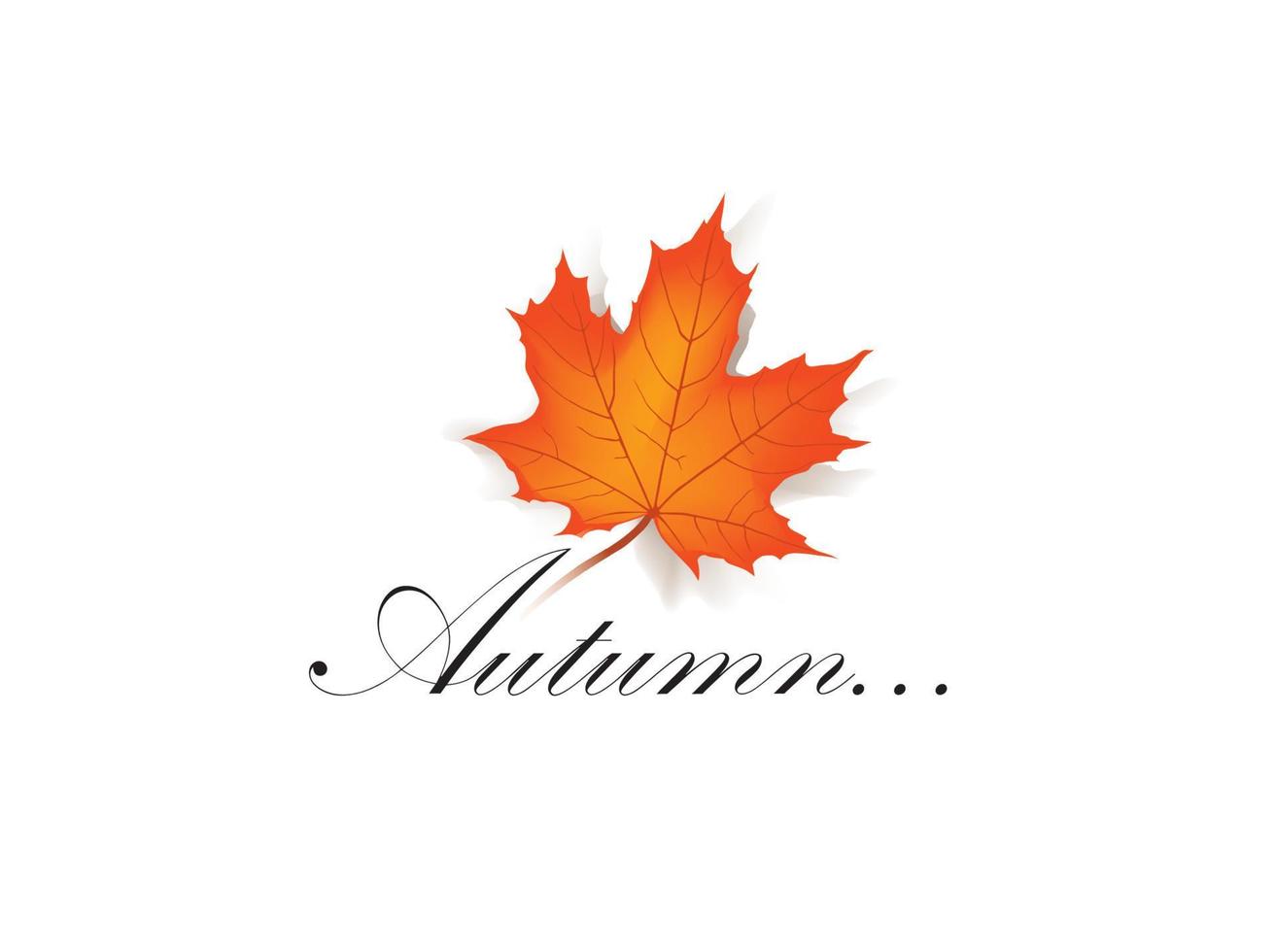 Autumn maple leaf frame with lettering and copy space on white background. Fall leaves banner. vector illustration