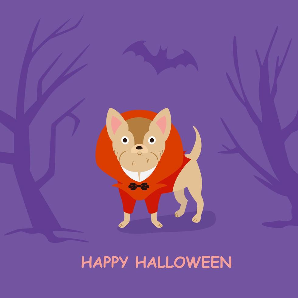 perro chihuahua con disfraz de halloween de vampiro rojo ilustración vectorial con disfraz rojo para diseño de tarjeta con frase de letras - feliz halloween vector