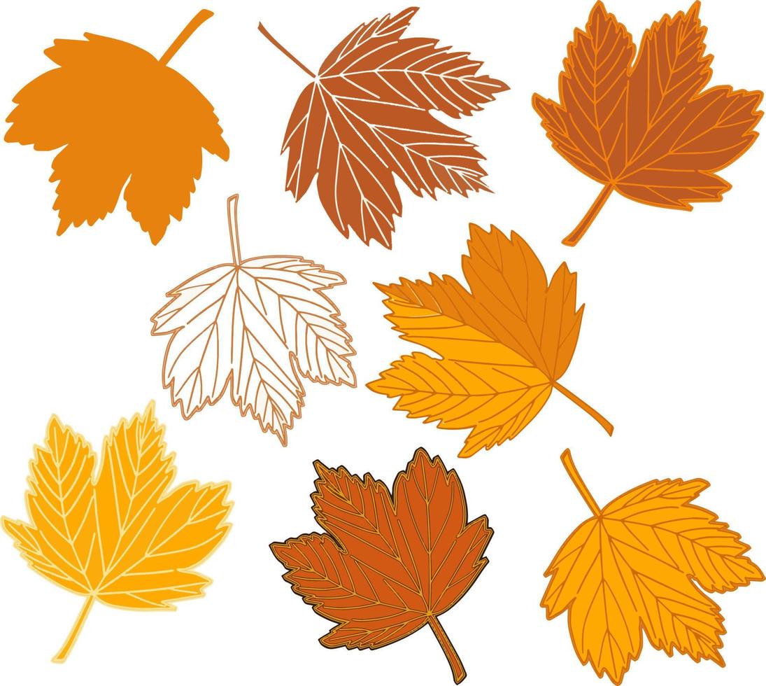 Autumn maple  leaves set vector