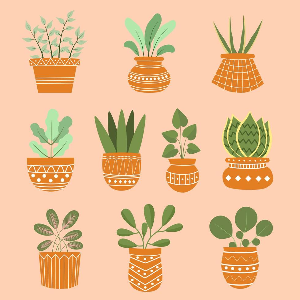 House Plant Vector Art