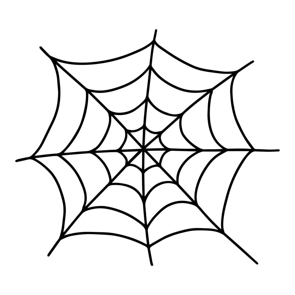 Vector spider web doodle illustration. Hand drawn doodle spider web isolated