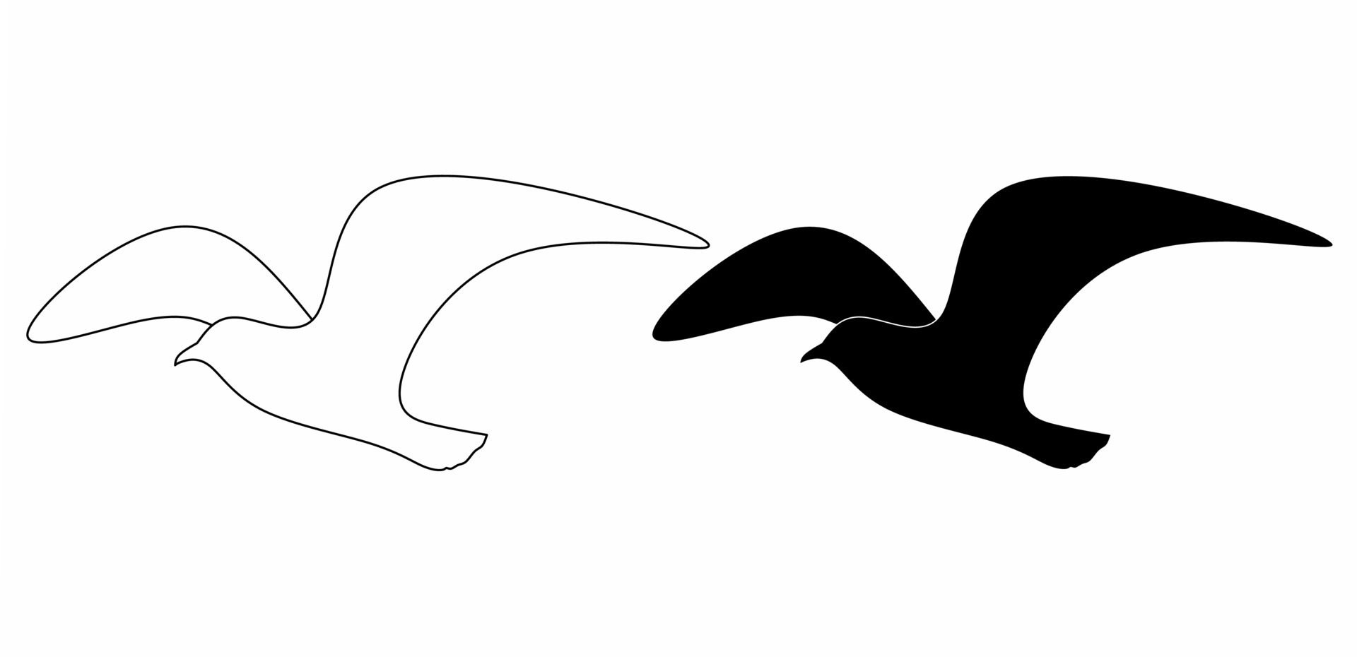 outline Silhouette seagull flying vector 11894260 Vector Art at Vecteezy