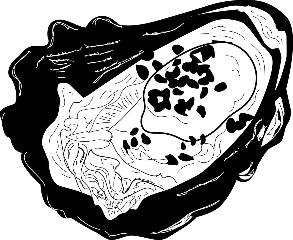 Oyster Black and White Vector