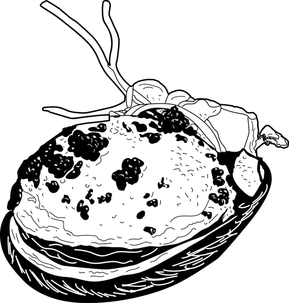 Abalone Black and White Vector