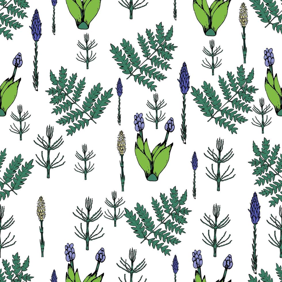Botanical seamless pattern with hand drawn meadowflowers and grass. vector
