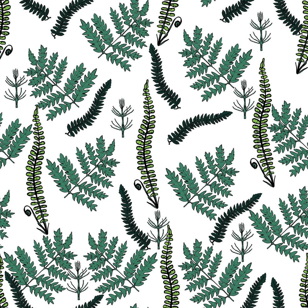 Seamless natural botanical pattern with hand drawn meadowflowers and grass. vector