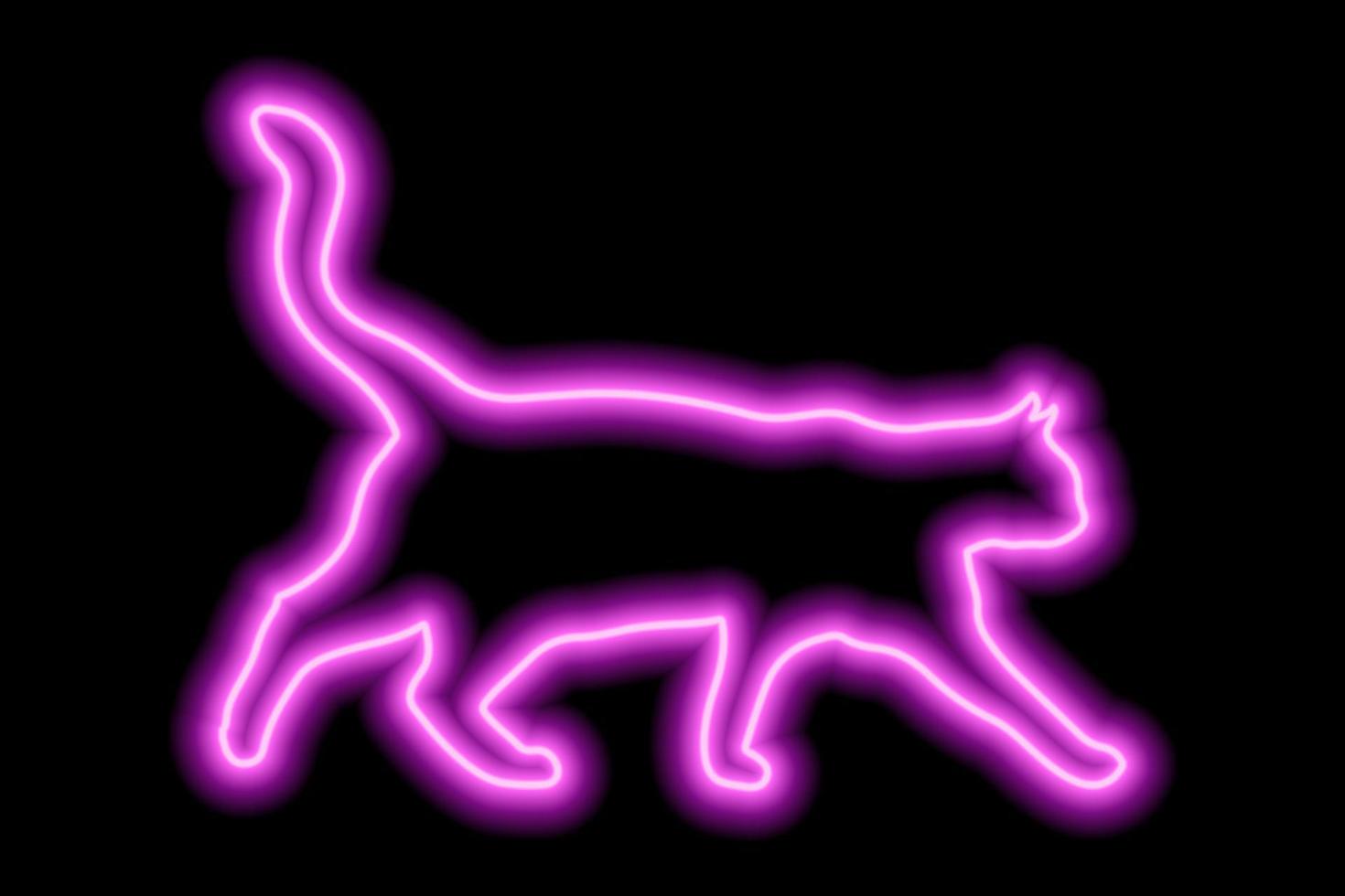 Neon pink cat on a black background. The cat walks with its tail raised