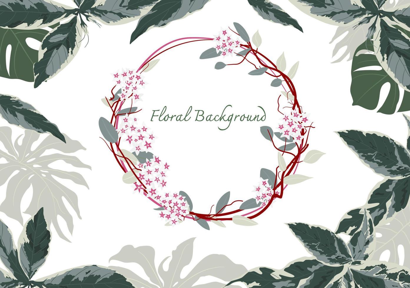 collection of Hoya Hand drawn floral frame background vector