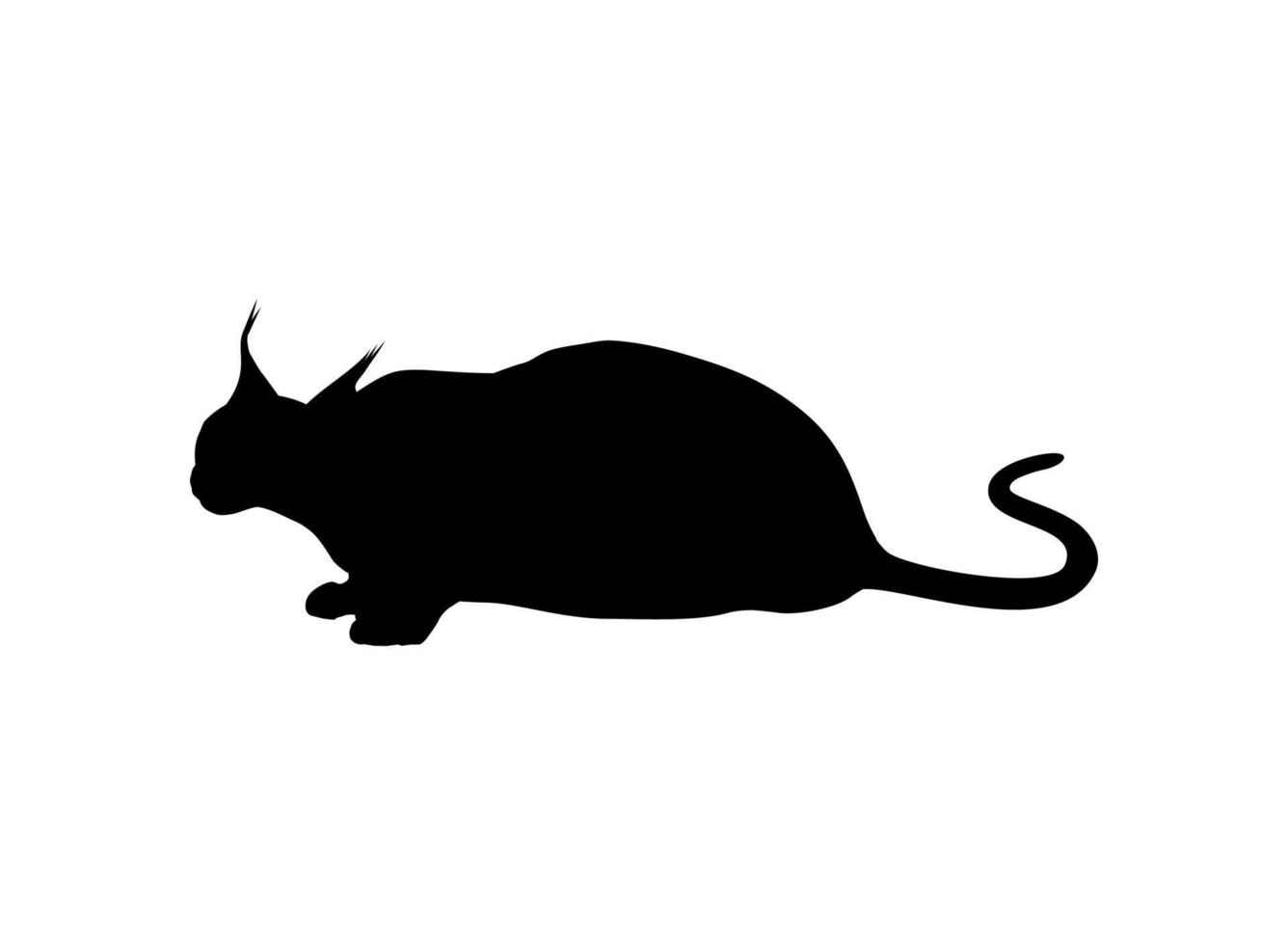 silueta de gato caracal para logotipo, pictograma, sitio web o elemento de diseño gráfico. ilustración vectorial vector