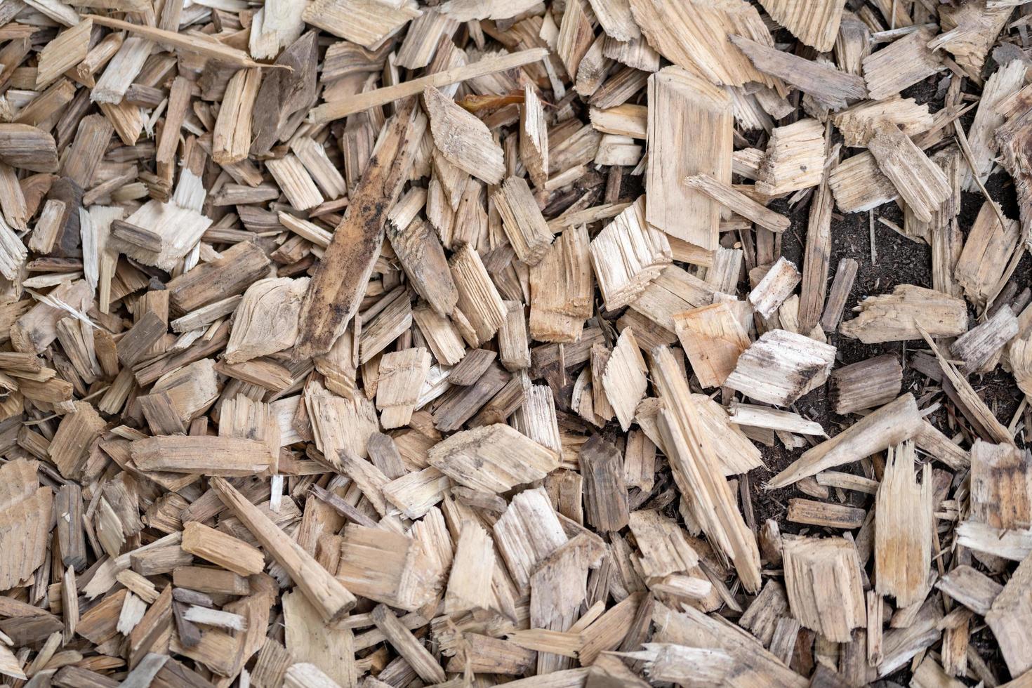 pieces of chopped wood as a background photo