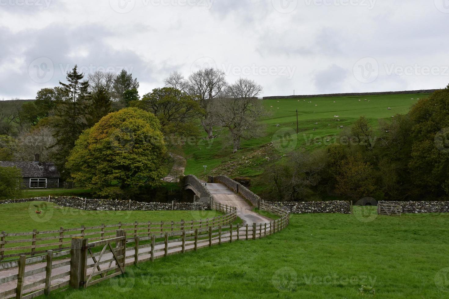 puente arqueado y camino sinuoso a través de la granja foto