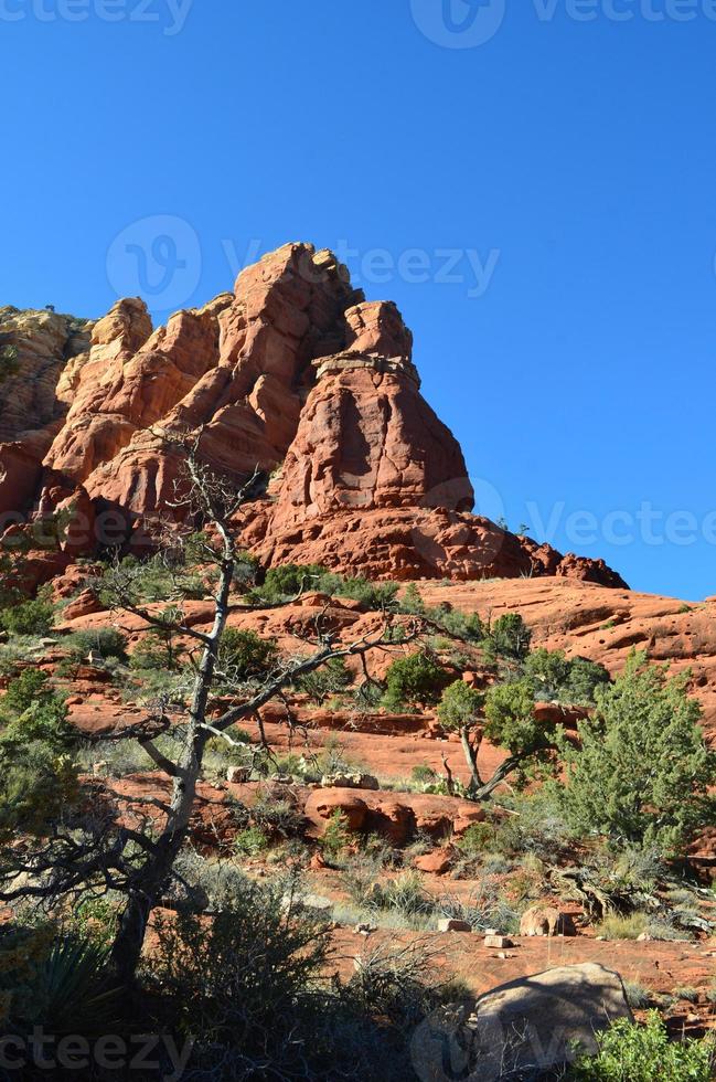 hermoso día en la zona rural de roca roja de sedona foto