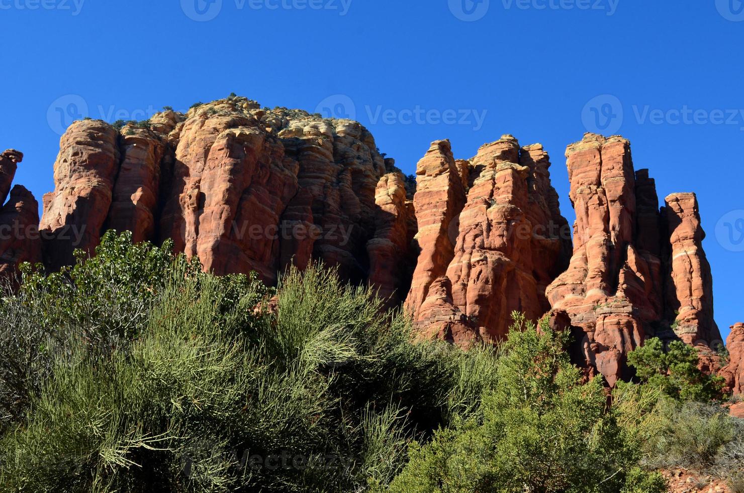 Bushes Growing at the Base of a Red Rock Formation photo