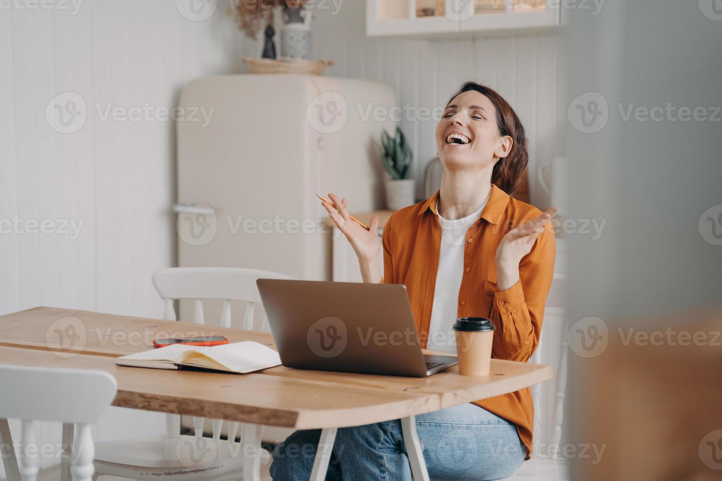 Girl received good news, promotion at work, rejoices achievement of goal, sitting at laptop at home photo