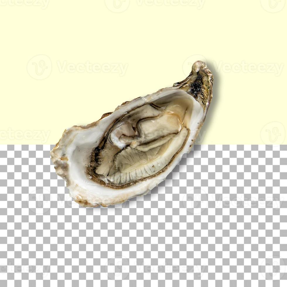 Top up view fresh shellfish isolated on transparent background. photo