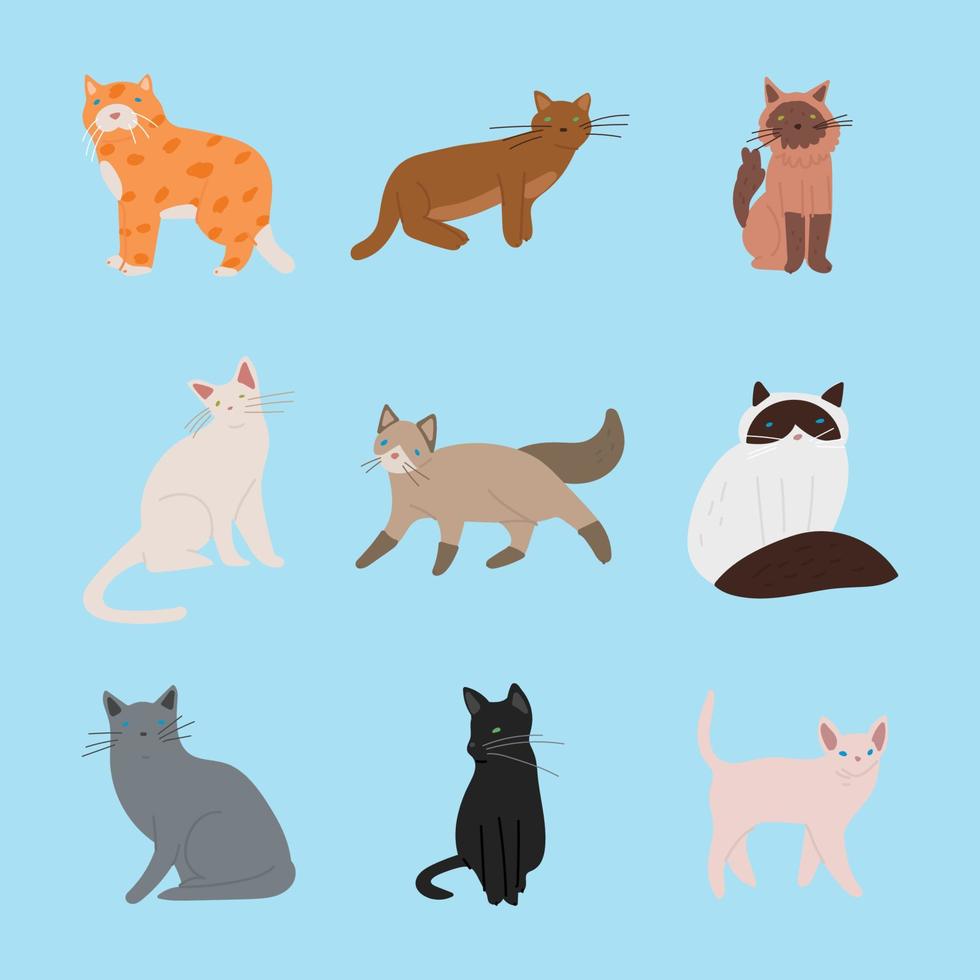 Doodled Cat Breeds vector