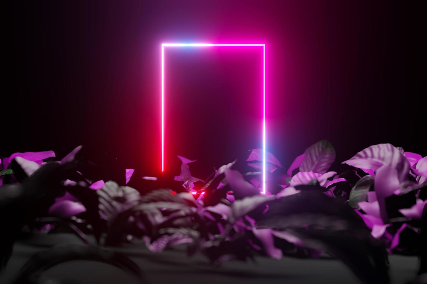 3d render abstract neon color frame with tropical leaves photo