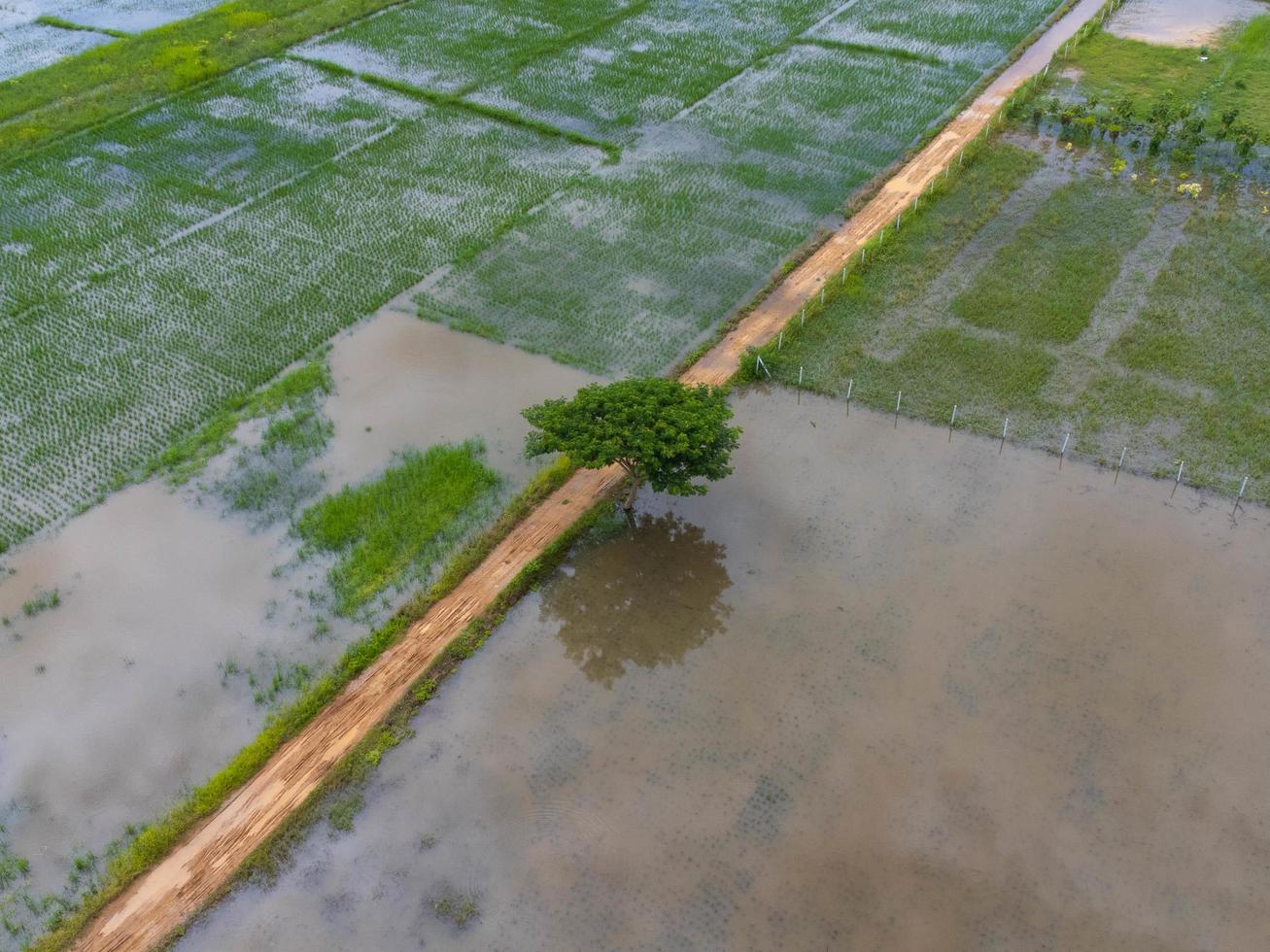 Aerial view of rice fields or agricultural areas affected by rainy