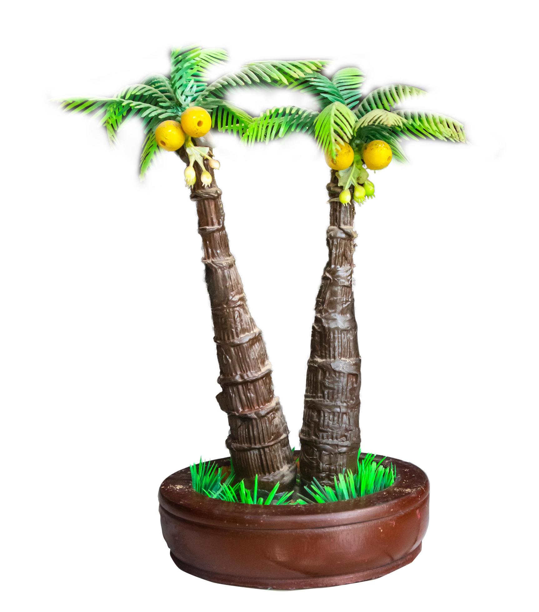 closeup photo of a mini palm tree on a white background 11898519 Stock