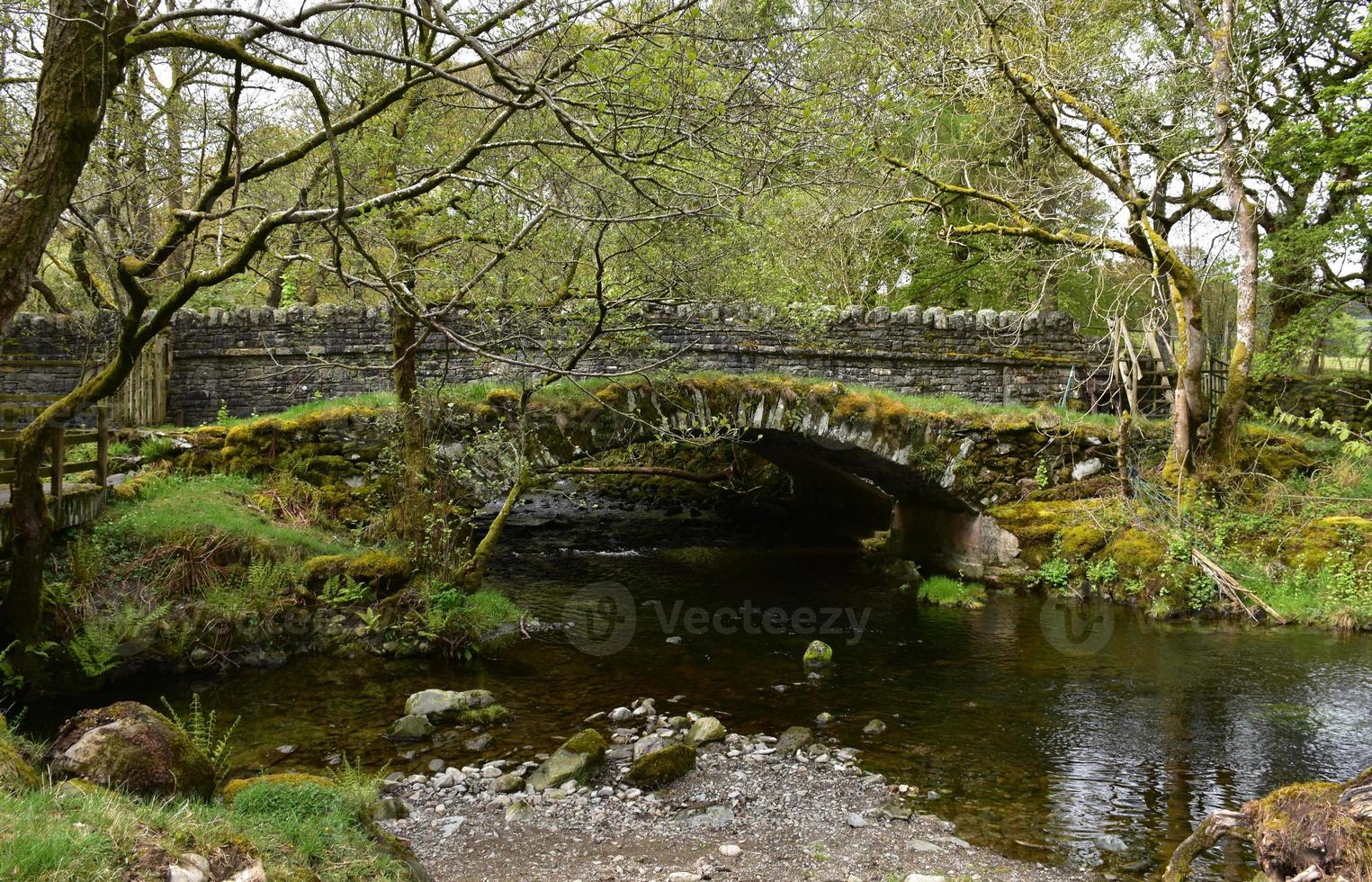 Bridge Arch Surrounded by Trees in England photo