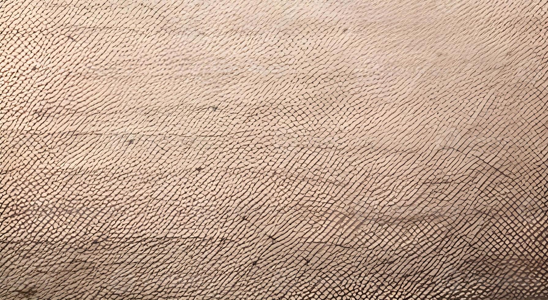 fabric for cross stitch It looks like a square grid and the canvas is white. photo