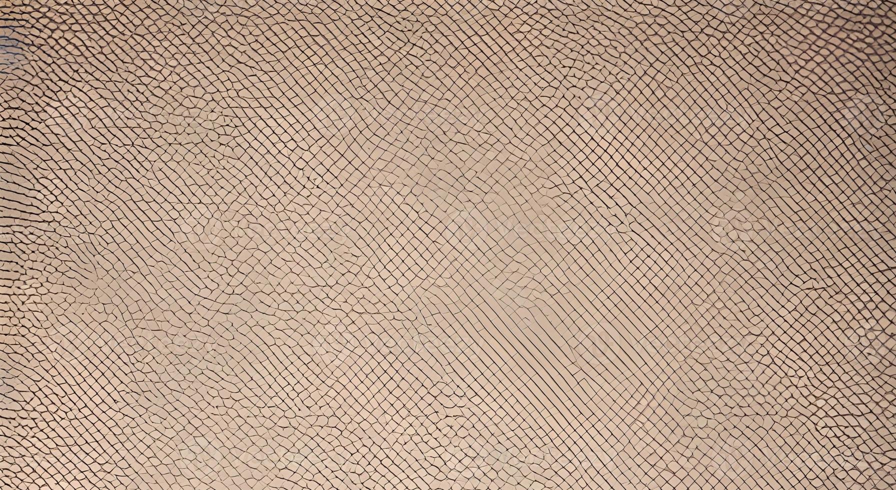 fabric for cross stitch It looks like a square grid and the canvas is white. photo