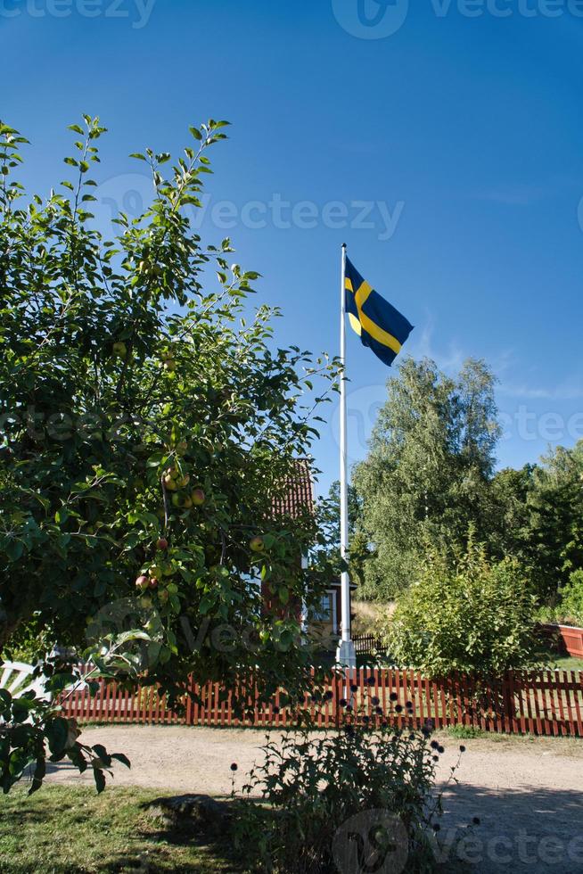 bandera de suecia en asta de bandera en una granja frente a un árbol en smalland. azul, bandera amarilla foto