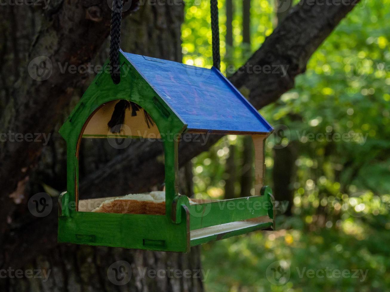 Bird feeder in the forest in the form of a house. photo